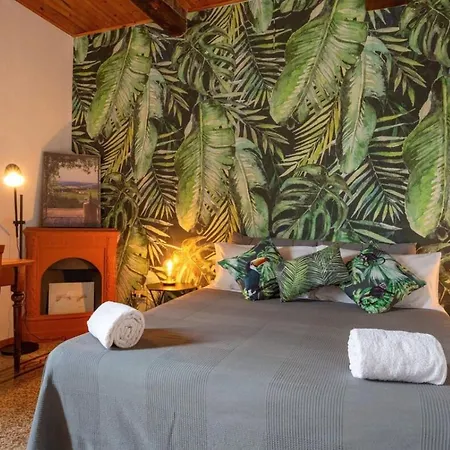 Via Ricasoli Apartment, Next To Accademia *